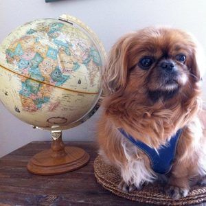 Meet your Posher, Evan